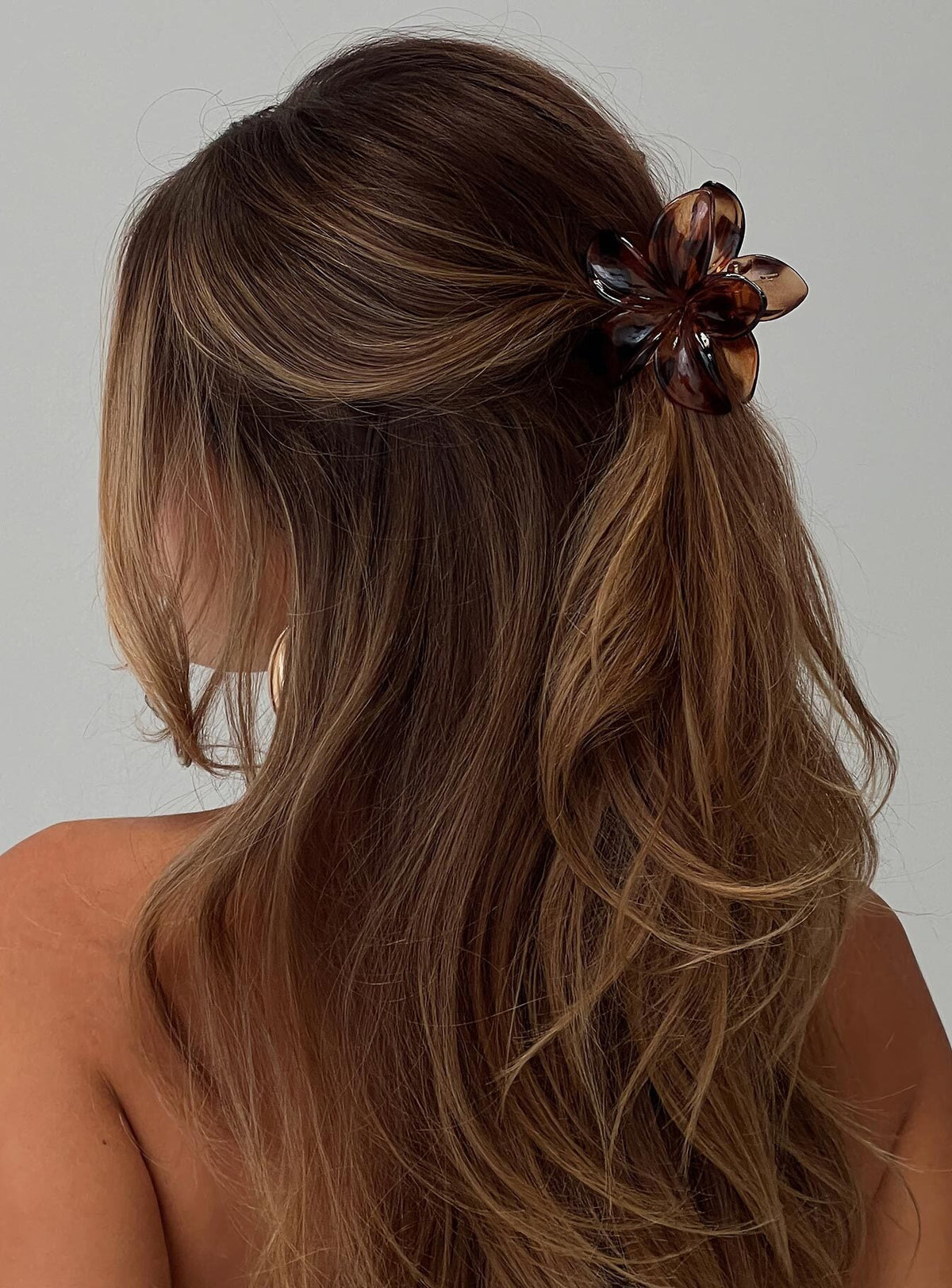 Clip-on brillante color carey
