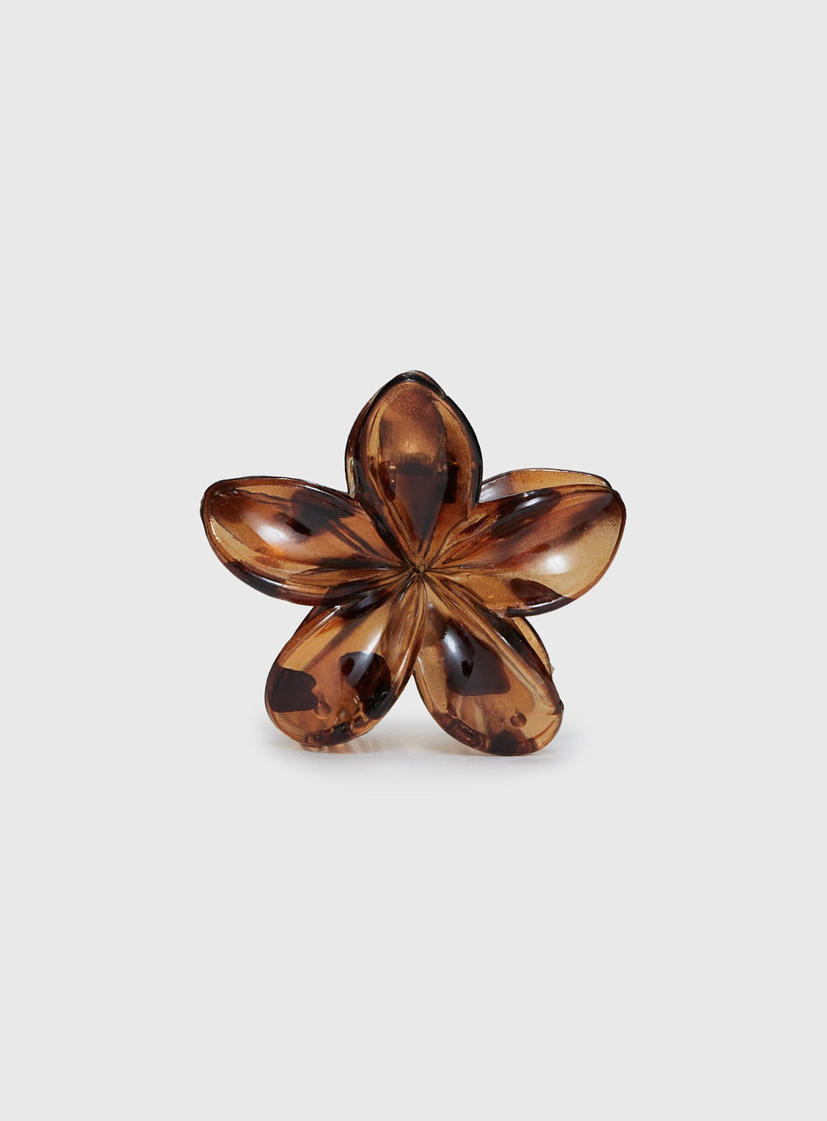 Clip-on brillante color carey
