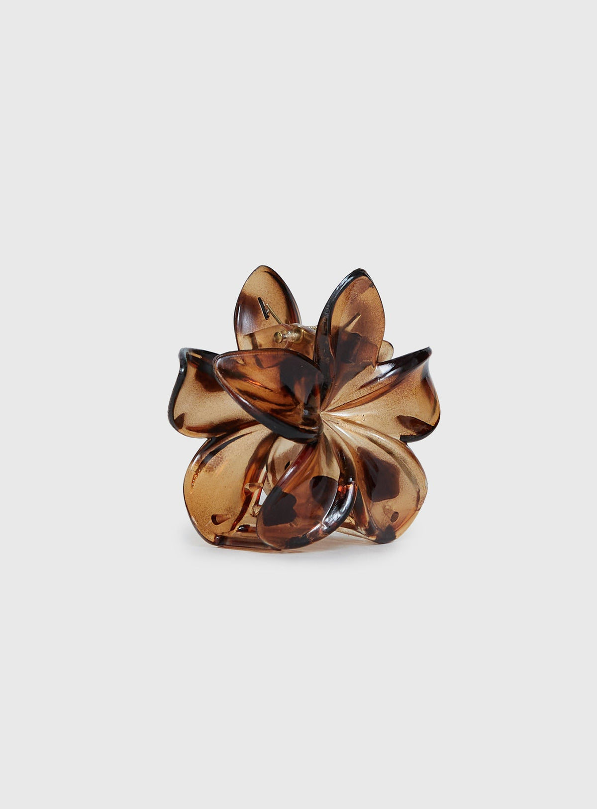 Clip-on brillante color carey