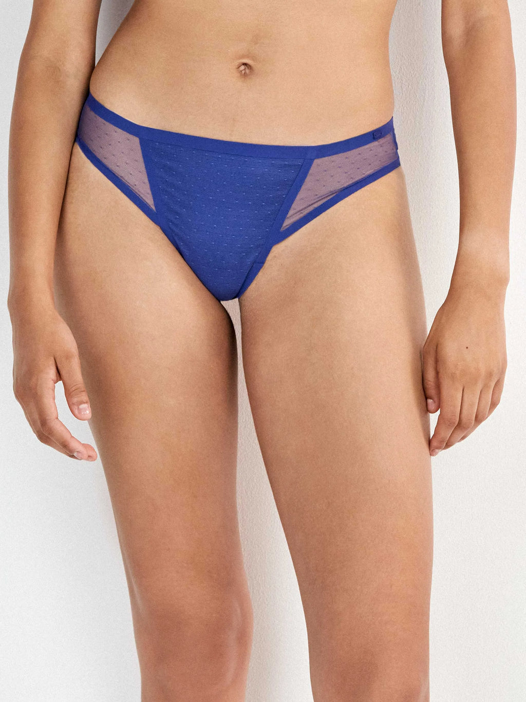 Braguita brasileña plumetti