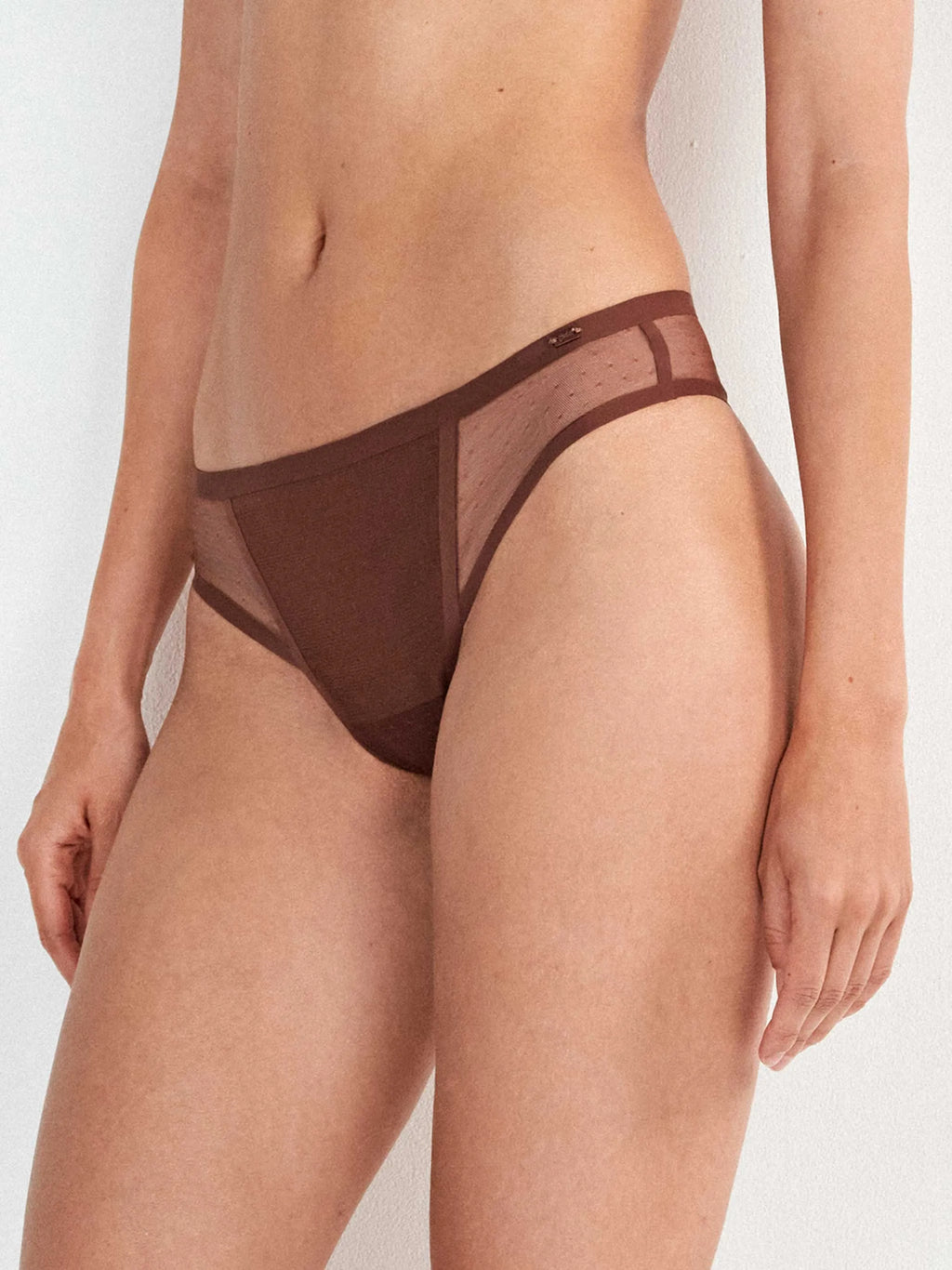 Braguita brasileña plumetti